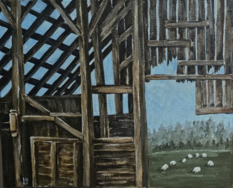 Old Timbers Remember Old Barns, Rural, sheep, farm, farm life, livestock